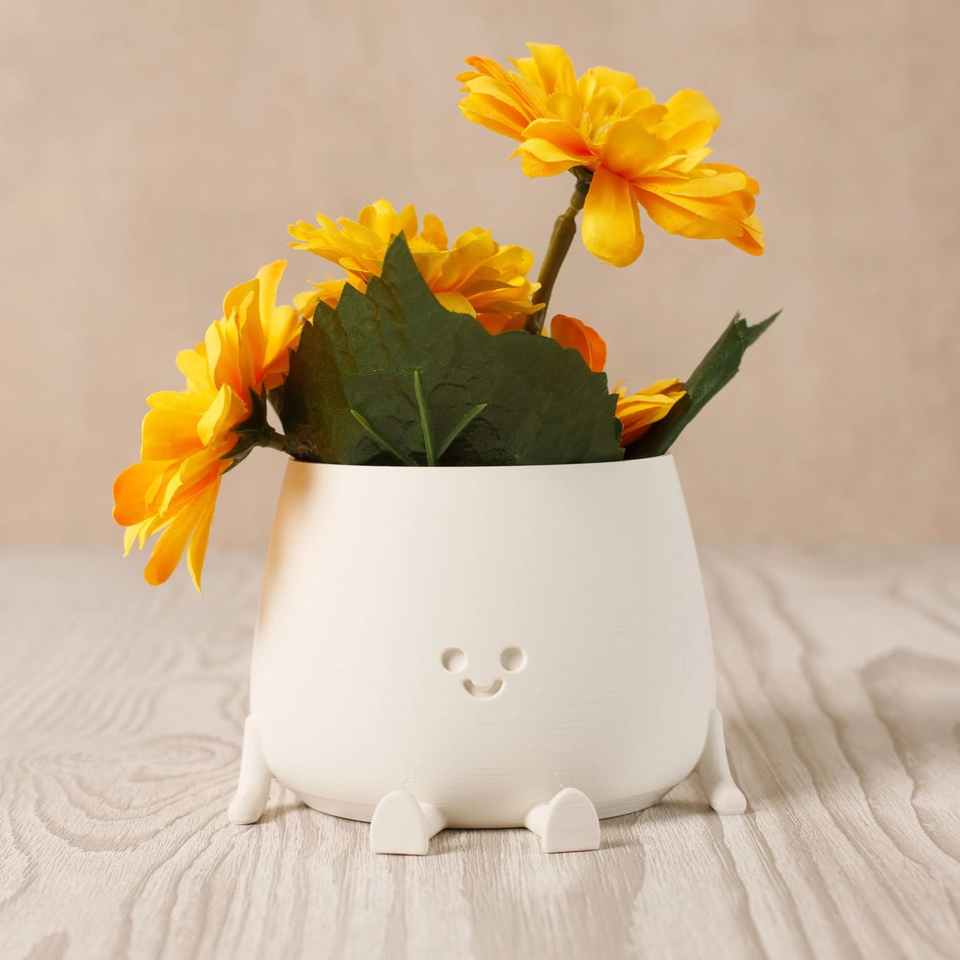 Cache-Pot plante Happy Pot